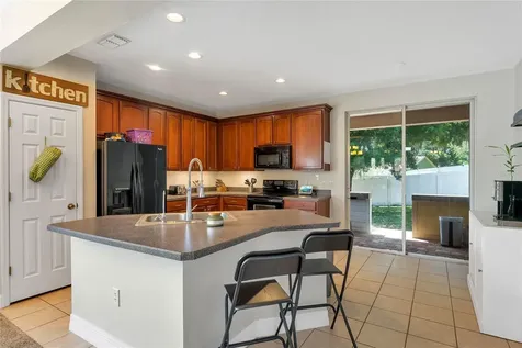 25213 Ironwedge Drive Sorrento FL 32776