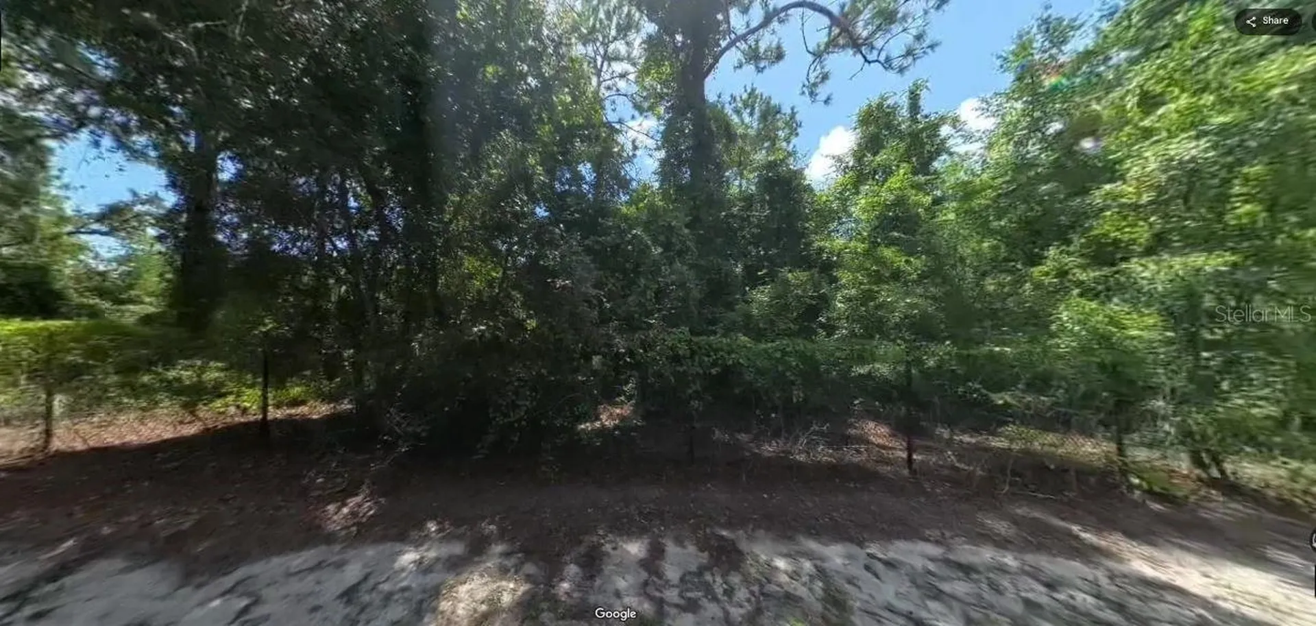 Forge Drive Spring Hill FL 34610