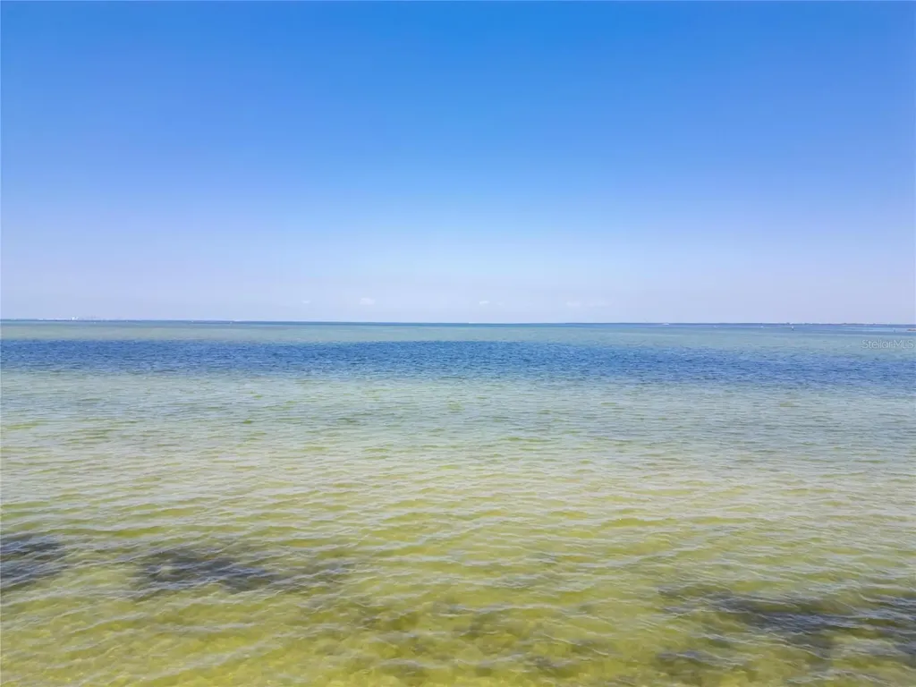 1013 Symphony Isles Boulevard Apollo Beach FL 33572