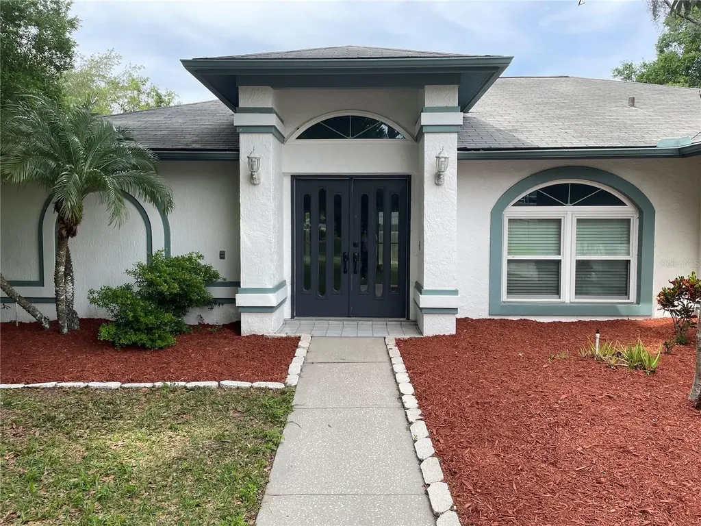 23541 Forest View Drive Land O Lakes FL 34639