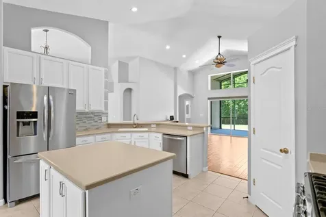 19207 Cinnamon Ridge Way Tampa FL 33647
