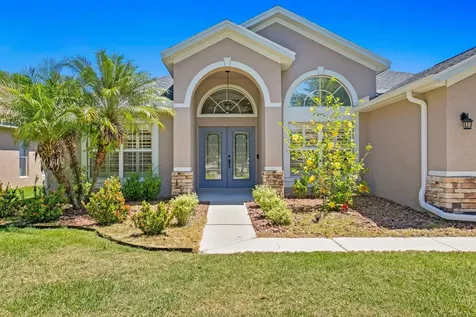 19207 Cinnamon Ridge Way Tampa FL 33647