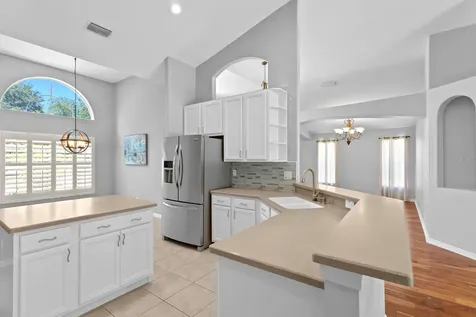 19207 Cinnamon Ridge Way Tampa FL 33647