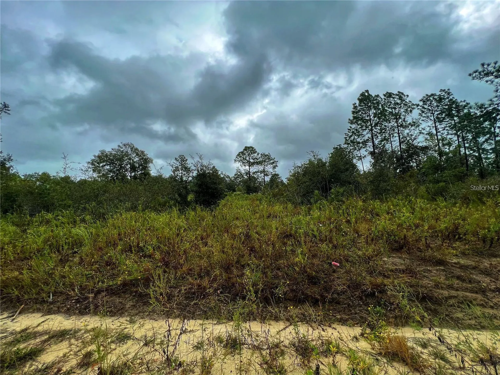 5451 NE 141 Terrace Williston FL 32696