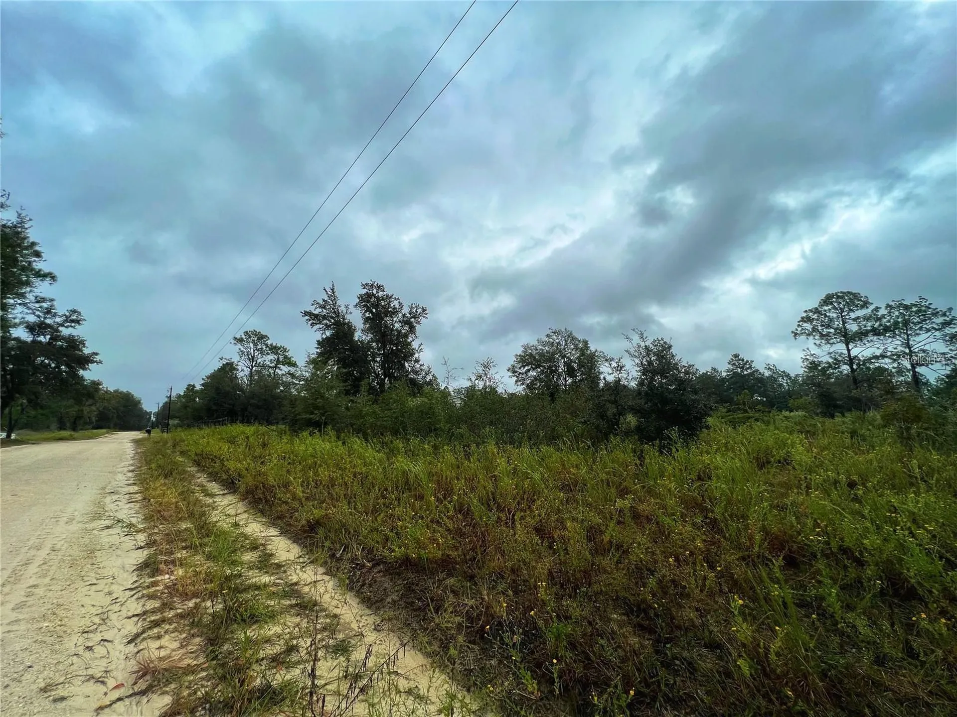 5451 NE 141 Terrace Williston FL 32696