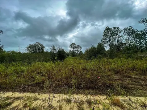 5451 NE 141 Terrace Williston FL 32696
