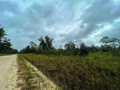 5451 NE 141 Terrace Williston FL 32696