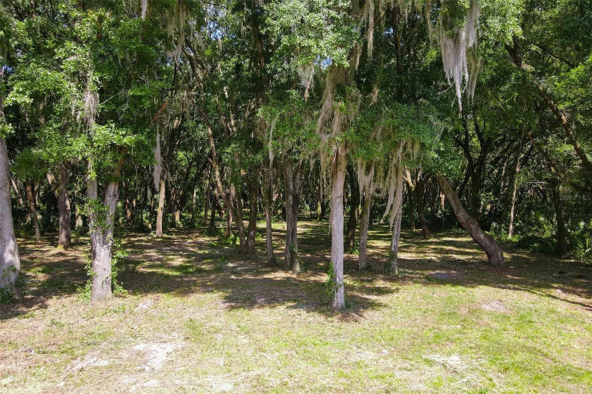 Emeralda Island Road Leesburg FL 34788