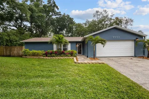 3933 Oak Hammock Drive Brandon FL 33511