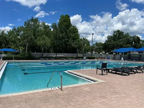 1433 Firewheel Drive Wesley Chapel FL 33543