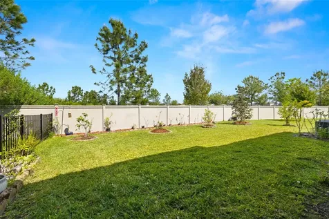 4305 Barletta Court Wesley Chapel FL 33543