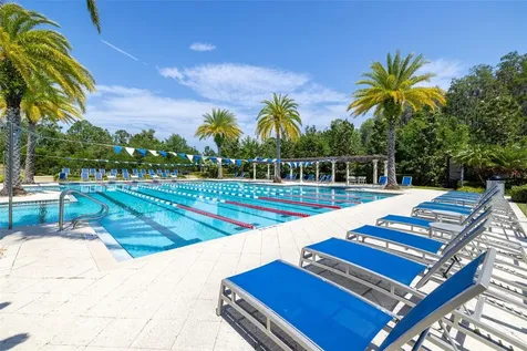 4305 Barletta Court Wesley Chapel FL 33543
