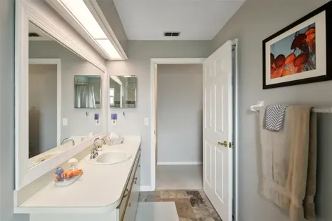 25033 Bristlecone Court Land O Lakes FL 34639