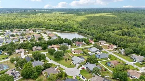 25033 Bristlecone Court Land O Lakes FL 34639
