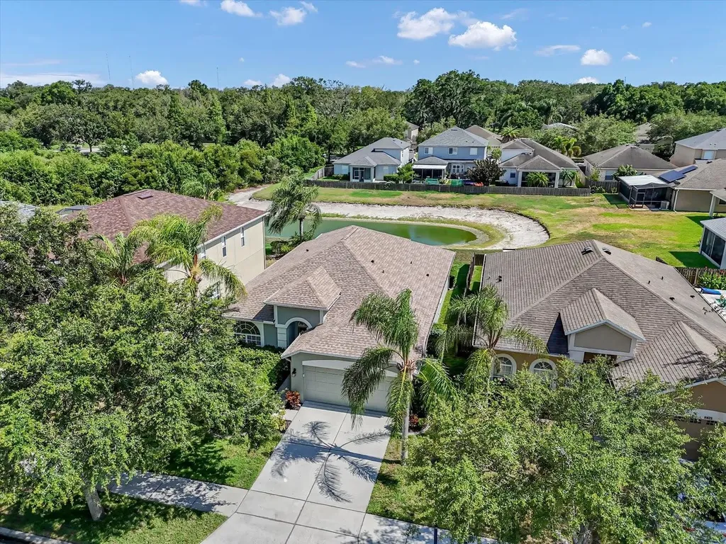 11427 Dutch Iris Drive Riverview FL 33578