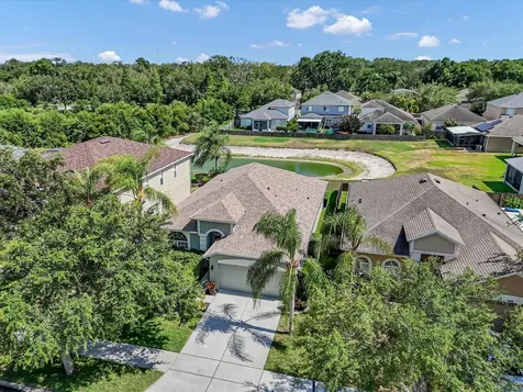 11427 Dutch Iris Drive Riverview FL 33578
