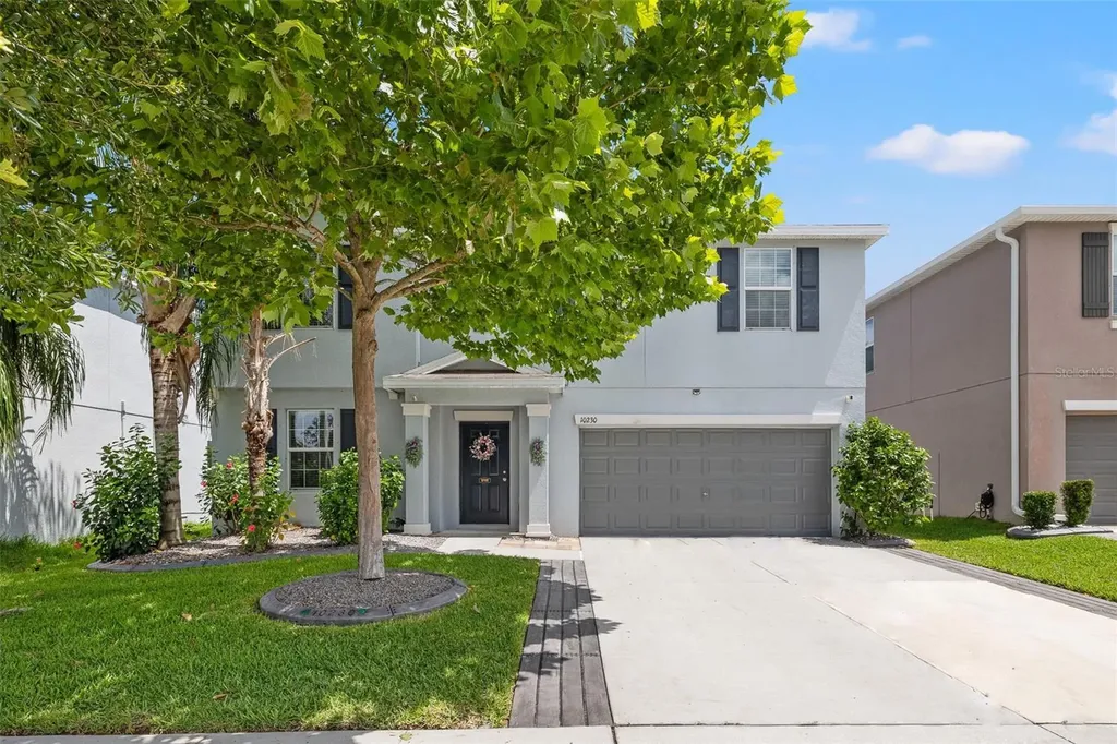 10230 Strawberry Tetra Drive Riverview FL 33578