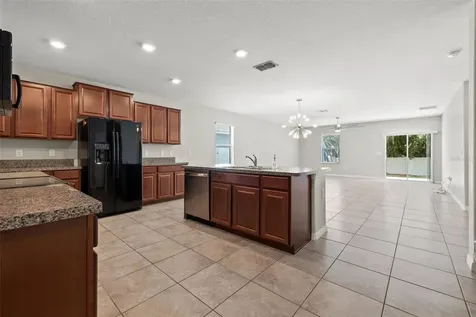 10230 Strawberry Tetra Drive Riverview FL 33578