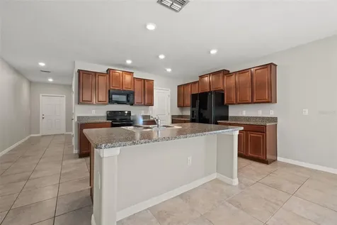 10230 Strawberry Tetra Drive Riverview FL 33578
