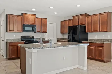 10230 Strawberry Tetra Drive Riverview FL 33578