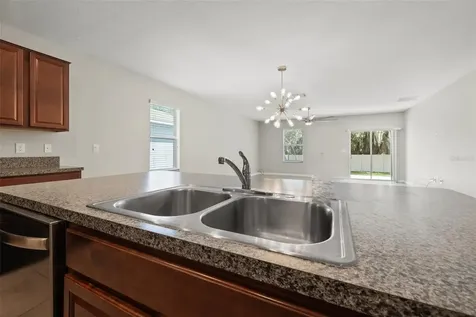 10230 Strawberry Tetra Drive Riverview FL 33578