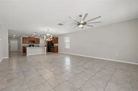 10230 Strawberry Tetra Drive Riverview FL 33578