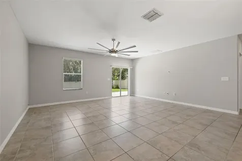 10230 Strawberry Tetra Drive Riverview FL 33578