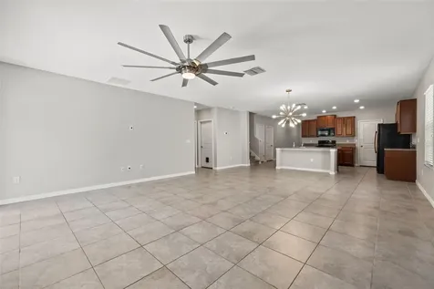 10230 Strawberry Tetra Drive Riverview FL 33578