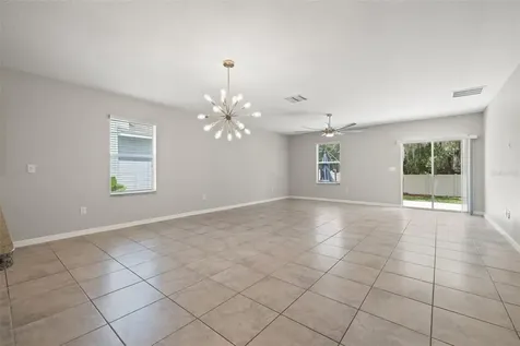 10230 Strawberry Tetra Drive Riverview FL 33578