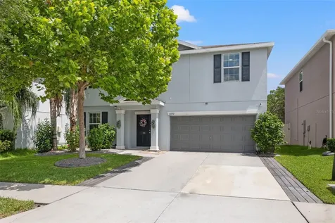 10230 Strawberry Tetra Drive Riverview FL 33578