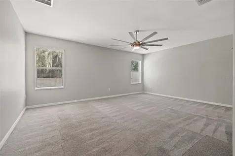10230 Strawberry Tetra Drive Riverview FL 33578