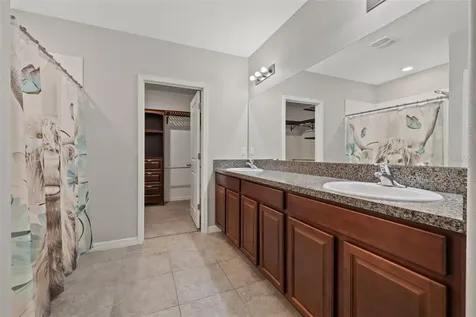 10230 Strawberry Tetra Drive Riverview FL 33578