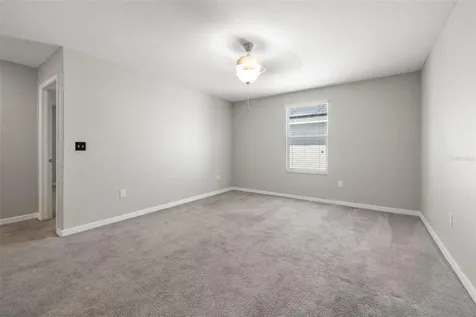 10230 Strawberry Tetra Drive Riverview FL 33578