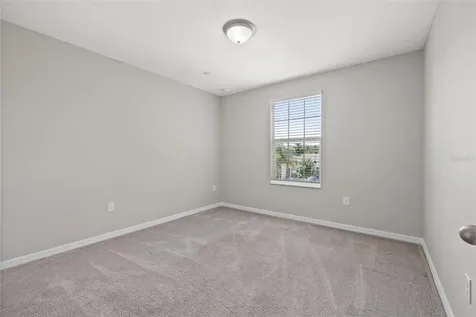 10230 Strawberry Tetra Drive Riverview FL 33578