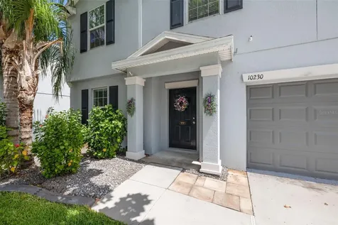 10230 Strawberry Tetra Drive Riverview FL 33578
