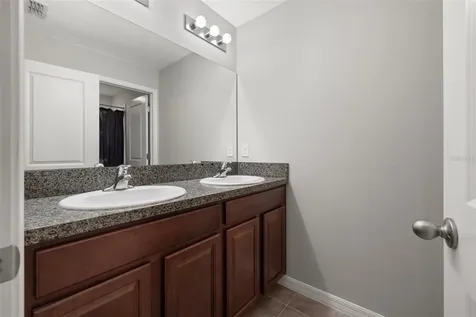 10230 Strawberry Tetra Drive Riverview FL 33578