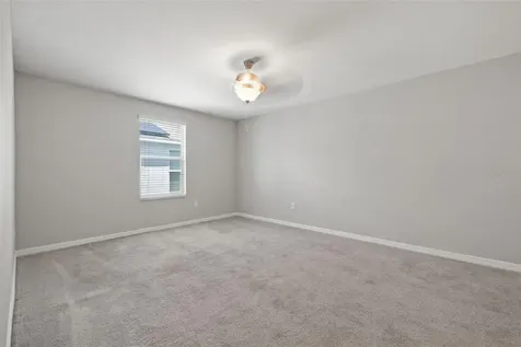 10230 Strawberry Tetra Drive Riverview FL 33578