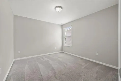 10230 Strawberry Tetra Drive Riverview FL 33578