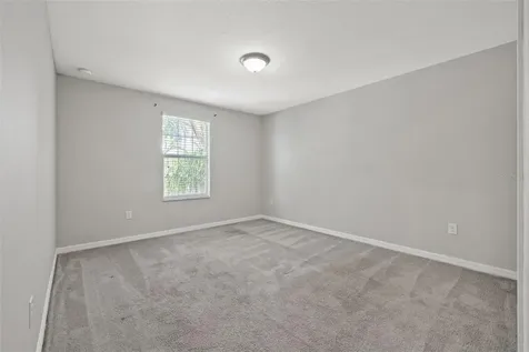 10230 Strawberry Tetra Drive Riverview FL 33578