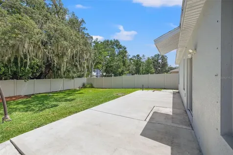 10230 Strawberry Tetra Drive Riverview FL 33578