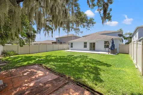10230 Strawberry Tetra Drive Riverview FL 33578