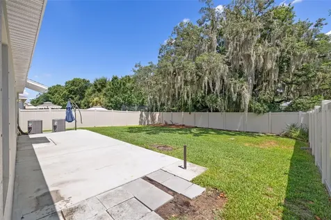 10230 Strawberry Tetra Drive Riverview FL 33578