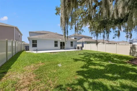 10230 Strawberry Tetra Drive Riverview FL 33578