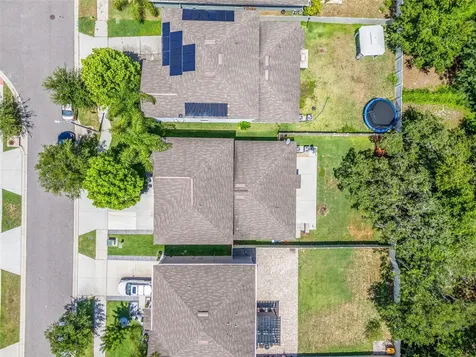 10230 Strawberry Tetra Drive Riverview FL 33578