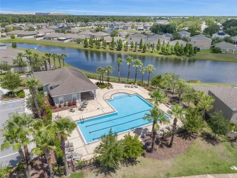 10230 Strawberry Tetra Drive Riverview FL 33578