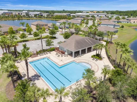 10230 Strawberry Tetra Drive Riverview FL 33578