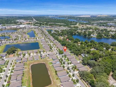 10230 Strawberry Tetra Drive Riverview FL 33578