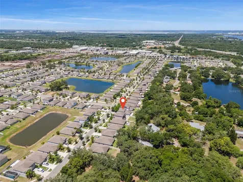 10230 Strawberry Tetra Drive Riverview FL 33578