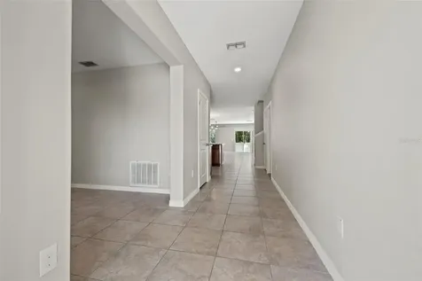 10230 Strawberry Tetra Drive Riverview FL 33578