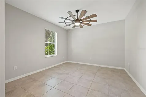 10230 Strawberry Tetra Drive Riverview FL 33578